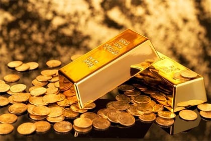 قیمت عمده نهال پاپایا