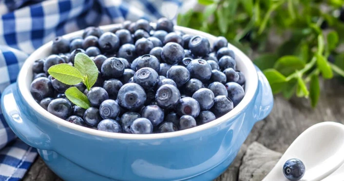 فروش عمده بلوبری منجمد