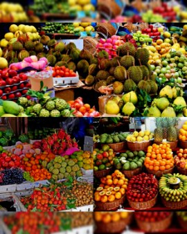 نهال گواوا فروش