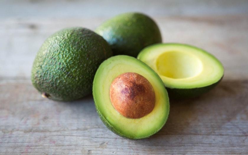 فروش عمده انواع نهال آووکادو