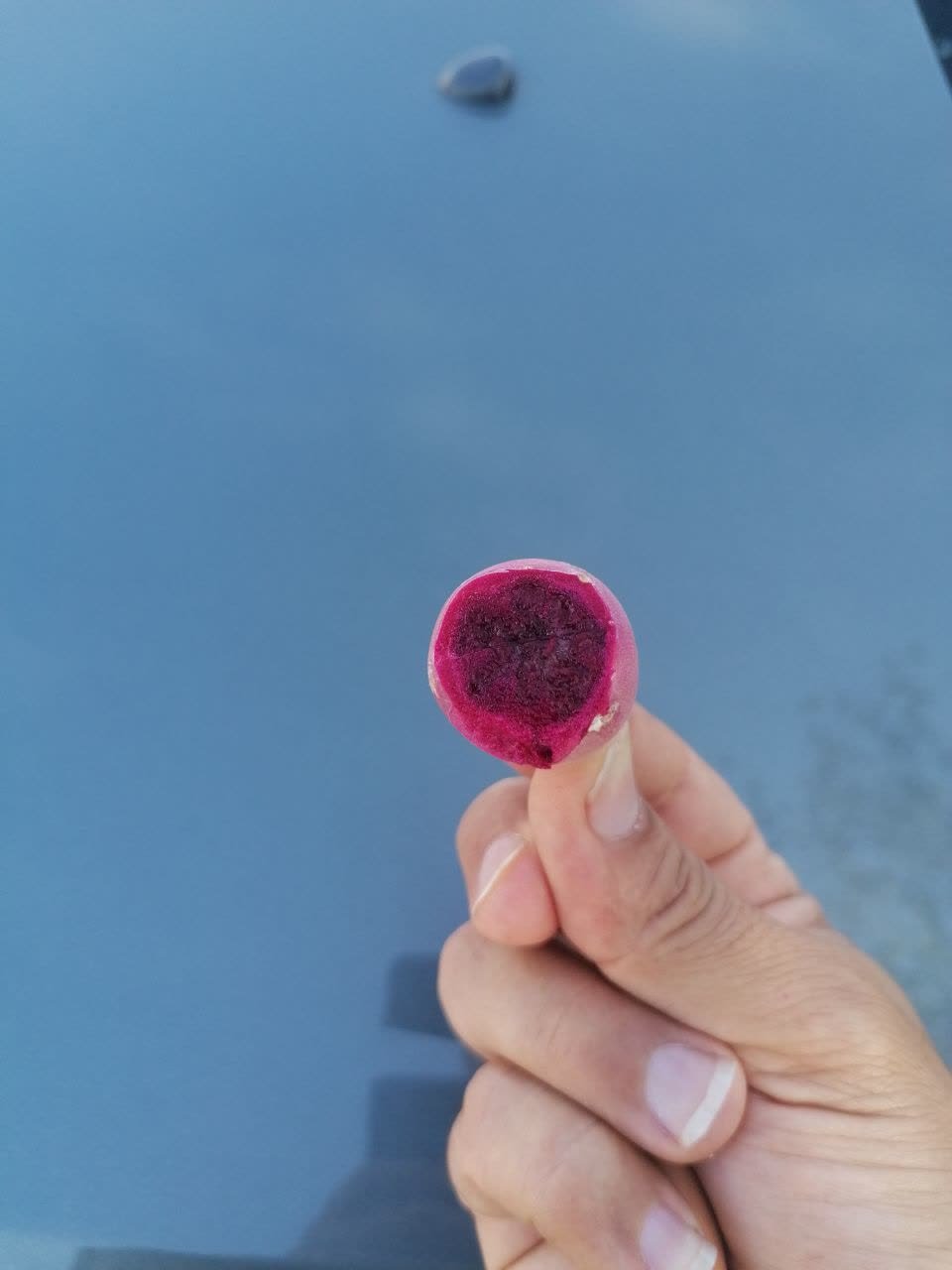 خرید اینترنتی میوه کاکتوس