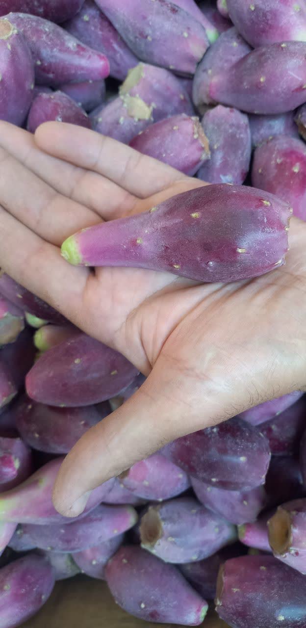 خرید اینترنتی میوه کاکتوس