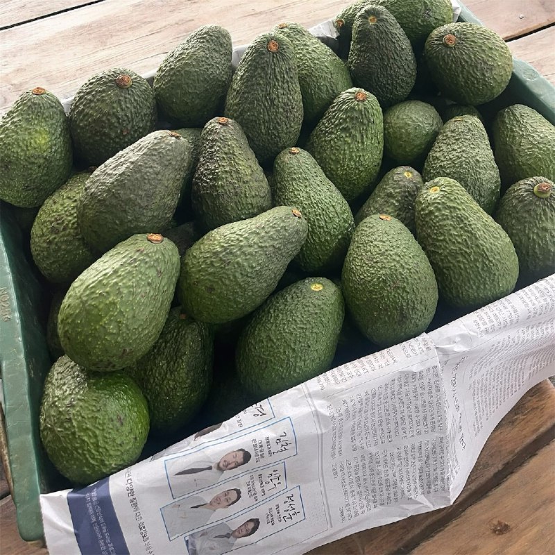 خرید آووکادو کیلویی