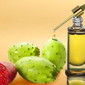 فروش روغن هسته میوه کاکتوس