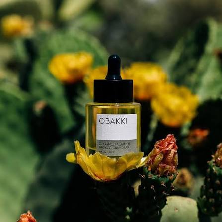 فروش روغن هسته میوه کاکتوس