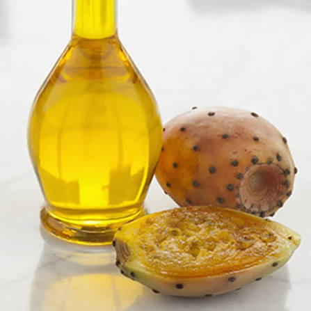 خرید روغن هسته میوه کاکتوس