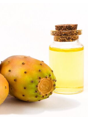 فروش روغن هسته میوه کاکتوس