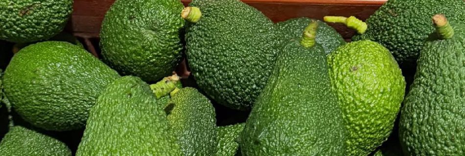 خرید اینترنتی آووکادو